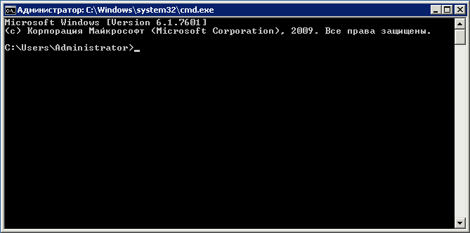 Окно командной консоли в Windows Server